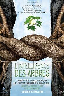 Soirée débat : L'intelligence des arbres L'affiche du film Soirée débat : L'intelligence des arbres